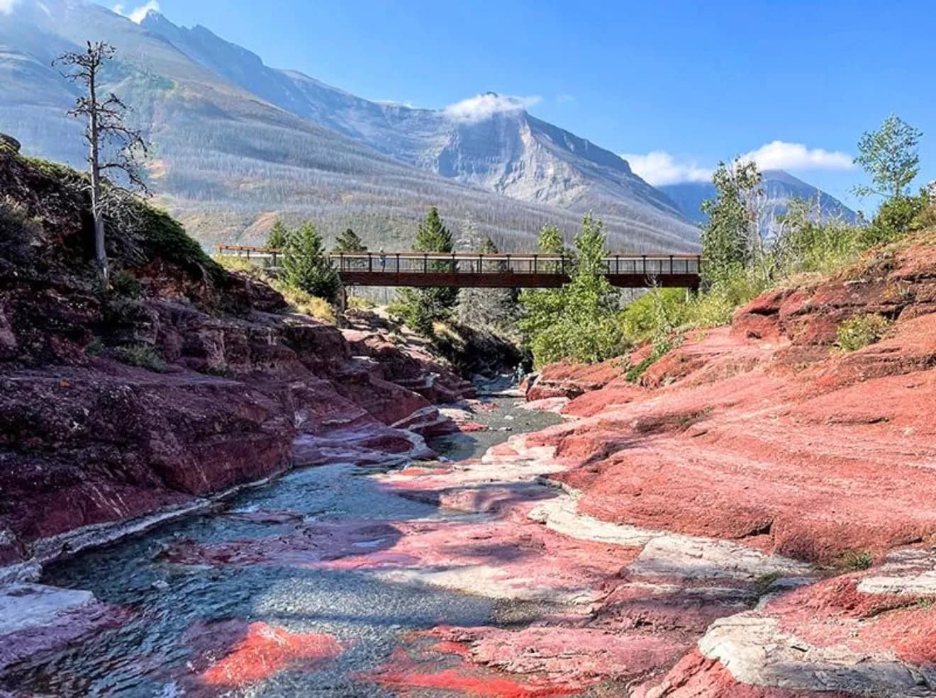 Waterton Private Tour: Discover the Heart of the Canadian Rockies, Personalization — photo 1